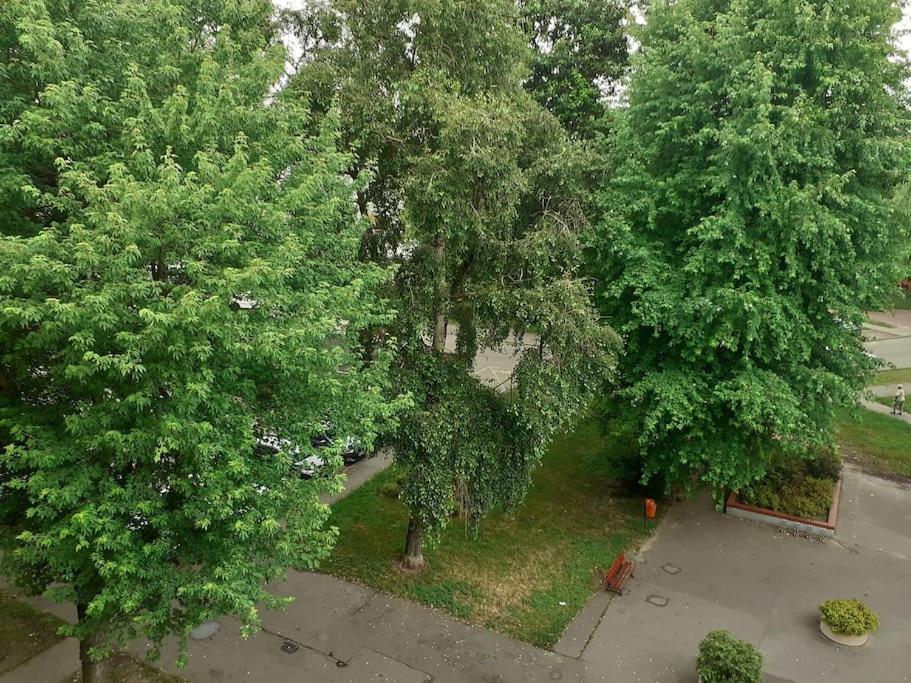 Апартаменты Kawalerka Stare Bielany Варшава Экстерьер фото